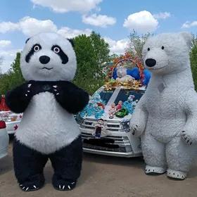 Miska panda ayy  animator