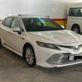 Toyota Camry 2020