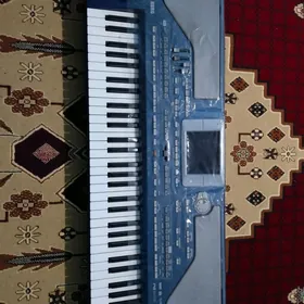 pa 800