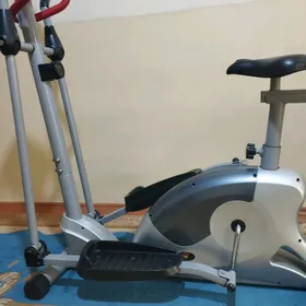 Trnažorny lyja tigir