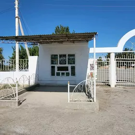 Arenda ýer️️️