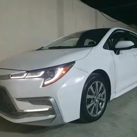 Toyota Corolla 2023