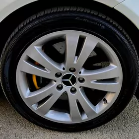 Diska pokrishka R17