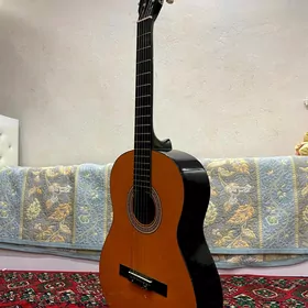Klassik Gitara