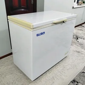 Globus