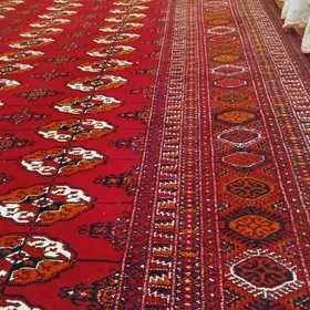 Gyzylarbat el haly
