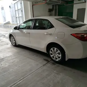Toyota Corolla 2019