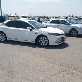 Toyota Camry 2018