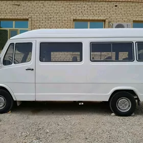 matory satlyk dwitel