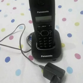 Panasonic