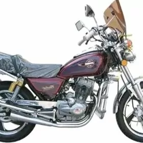 Fekon FK150-8G 2010