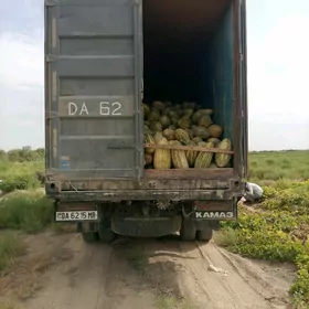 Kamaz 5320 1982