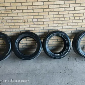 255 55 19 pakrysga