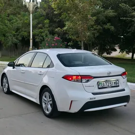 Toyota Corolla 2022