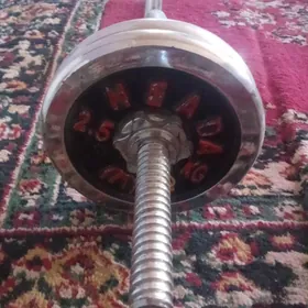 gantel