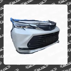 SIENNA 2024 MORDA