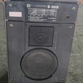  Radiotehnika S-30B kolonka