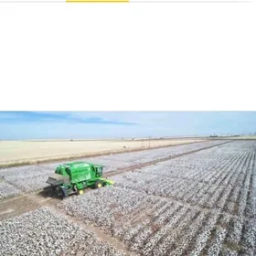 dayhan bir gadyr gerek