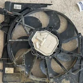 lopus motorchik petle