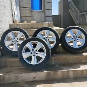 Disga 17 lik