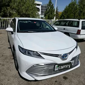 Toyota Camry 2020