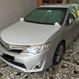 Toyota Camry 2014