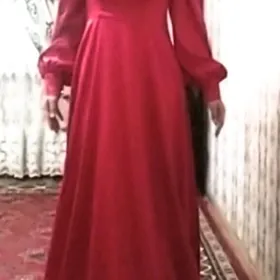 вечерний койнек