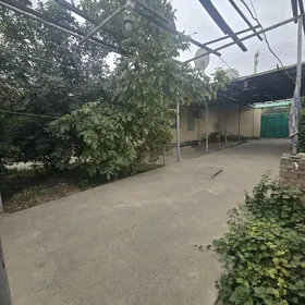 SATLYK PLAN JAÝ