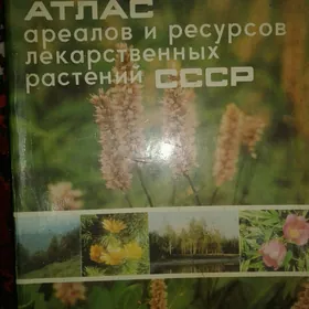 botanika растения derman otlar