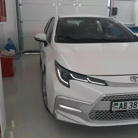 Toyota Corolla 2021