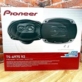 pioneer nikl