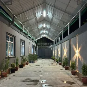 Coganly amatly plan 6sotyk