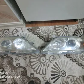 ökuz kelle õňki Para amercanka