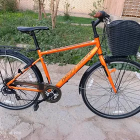 28 yapon velik