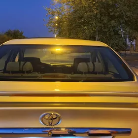 Duty camry banan