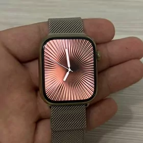 Apple watch 7 stainless steel