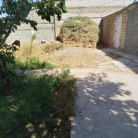 ot.ýorunja