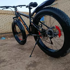 SPORT Tigir