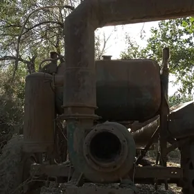 MTZ NASOZ