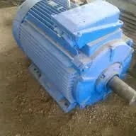 dwigatel motor 110 kw 1000 ob