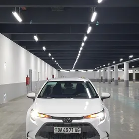 Toyota Corolla 2020