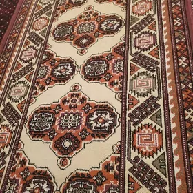 haly daroşka