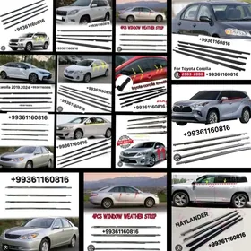 AYNA NIKELERI (GARA PLASMASY)