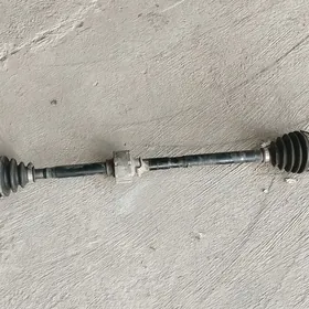 karolla granat sagtarapy