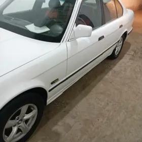 BMW 525 1991