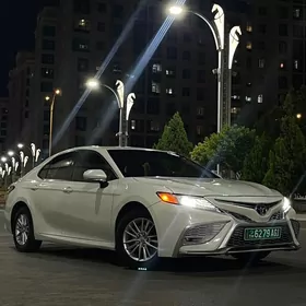 Toyota Camry 2019