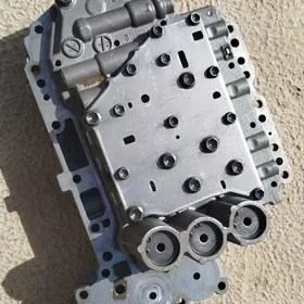 2.4 okuz 5skor koropka mozgi
