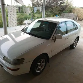 Toyota Corolla 1995
