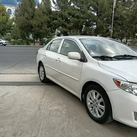 Toyota Corolla 2010