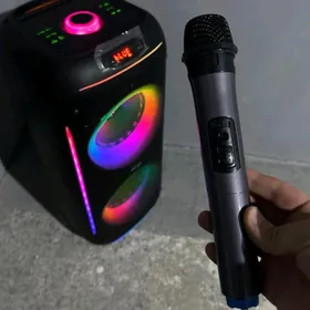 Karaoke kalonka mikrofonly